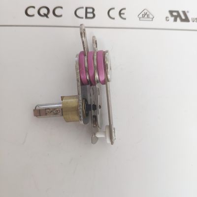 Prensa eléctrica de vapor con control de temperatura del termostato mecánico ajustable 50-250
